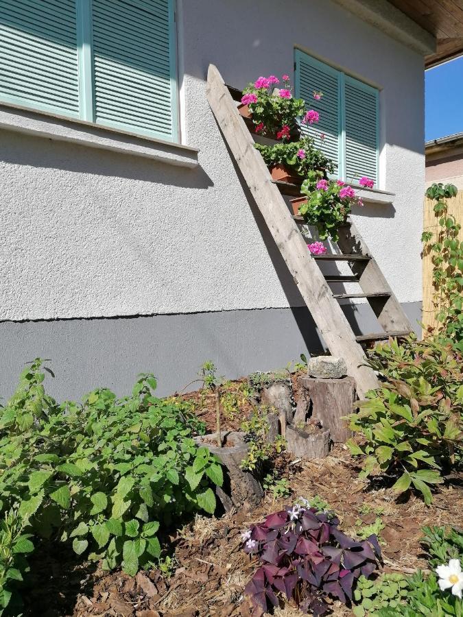 Menta Apartman Mezőkövesd Extérieur photo