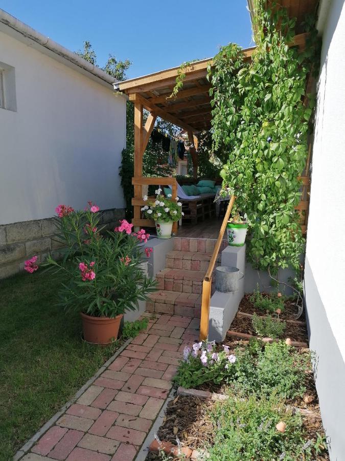 Menta Apartman Mezőkövesd Extérieur photo